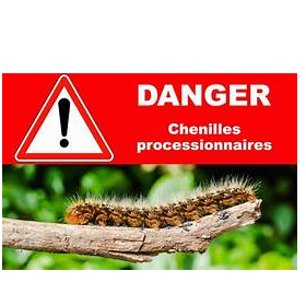 Image par défaut