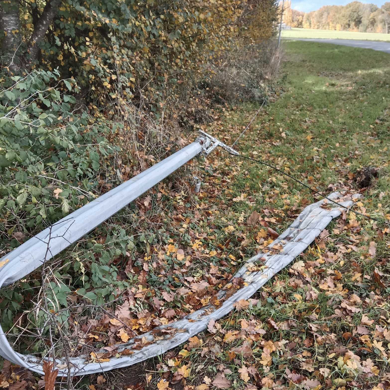 Image par défaut