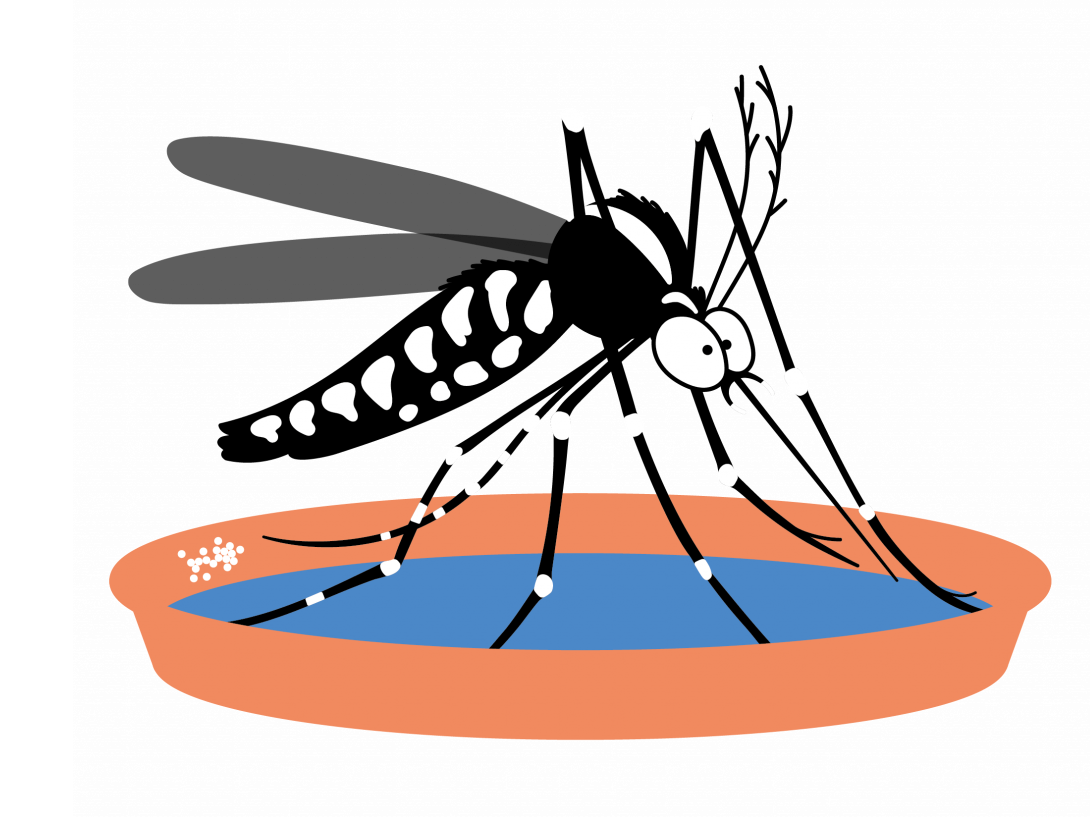 Image par défaut